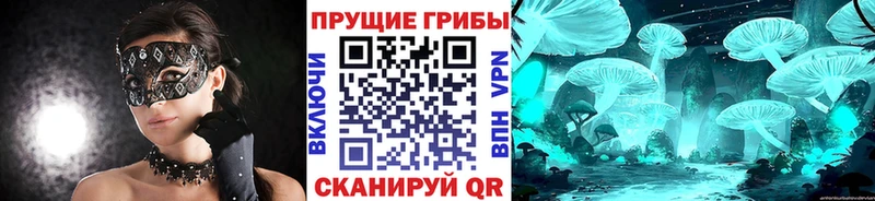 omg   Звенигород  Псилоцибиновые грибы мухоморы 